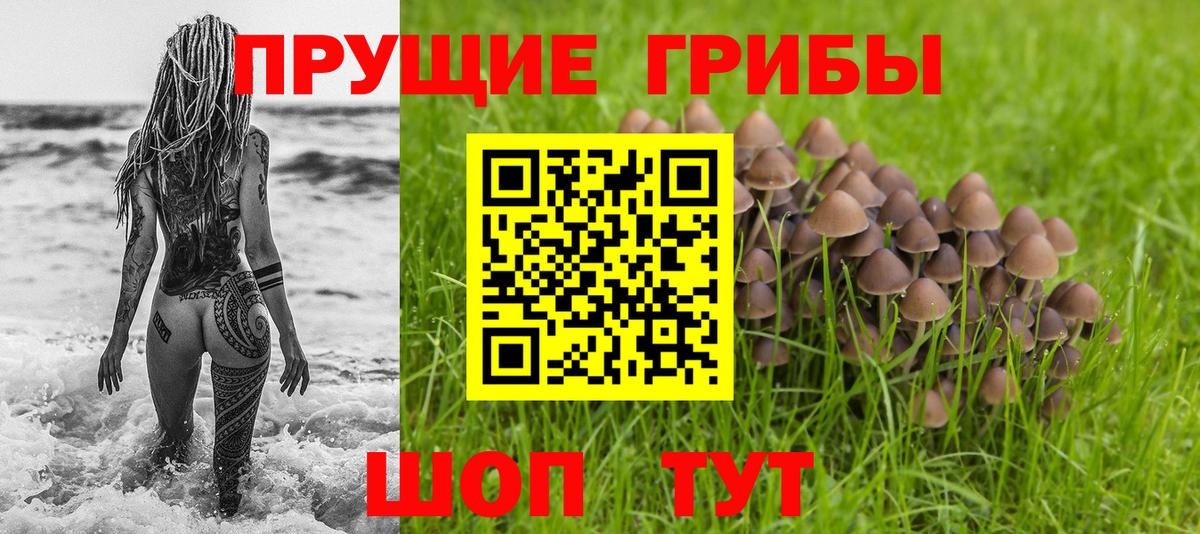 Галлюциногенные грибы ЛСД  Галлюциногенные грибы Cubensis  Вход с VPN  Красноярск 